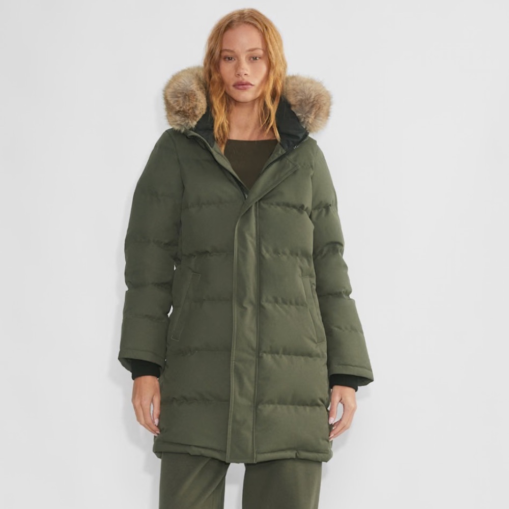 Aritzia olive parka